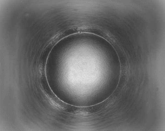 X0000080190648200612081428
