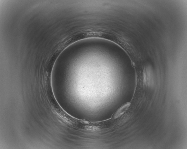 X0000080190649200612081428