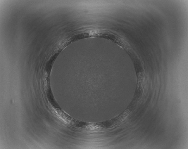 X0000080190650200612081428