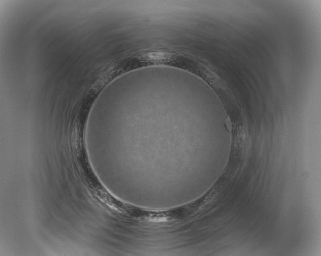 X0000080190651200612081428