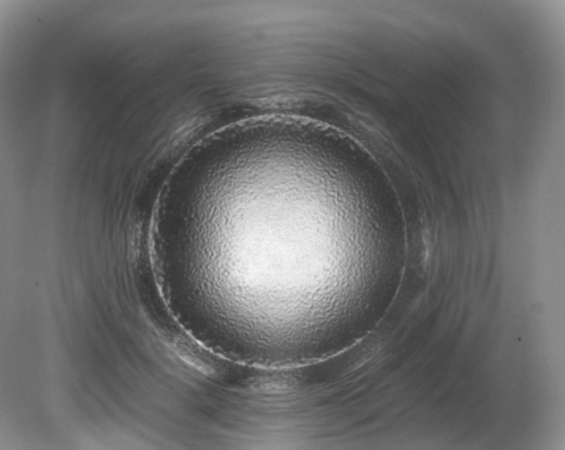 X0000080190652200612081428