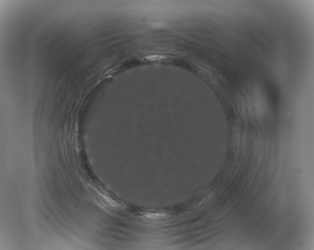 X0000080190653200612081428