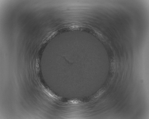 X0000080190654200612081428