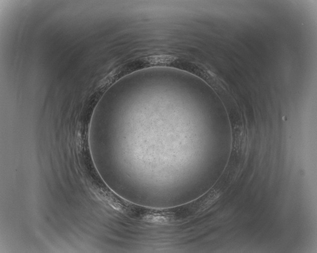 X0000080190655200612081428