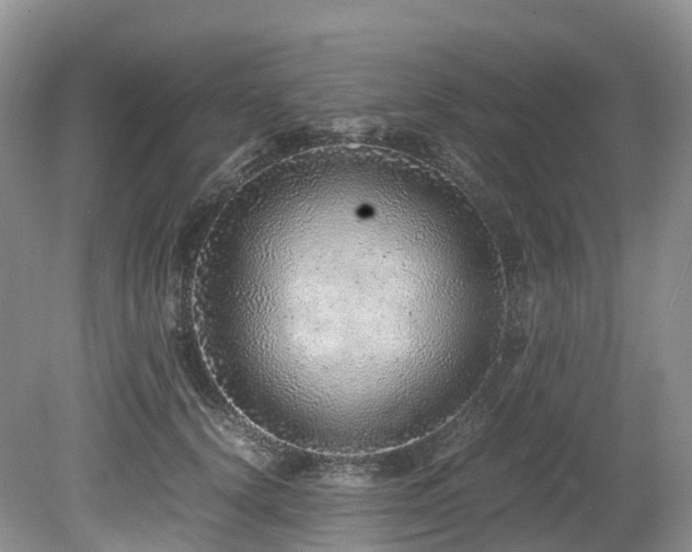 X0000080190656200612081428