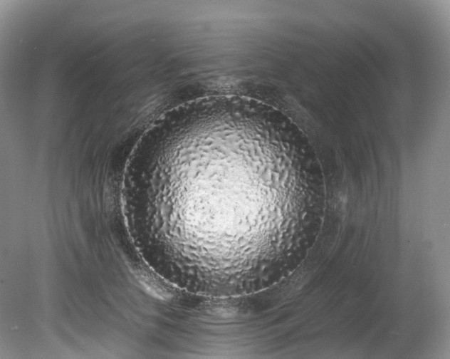X0000080190658200612081428