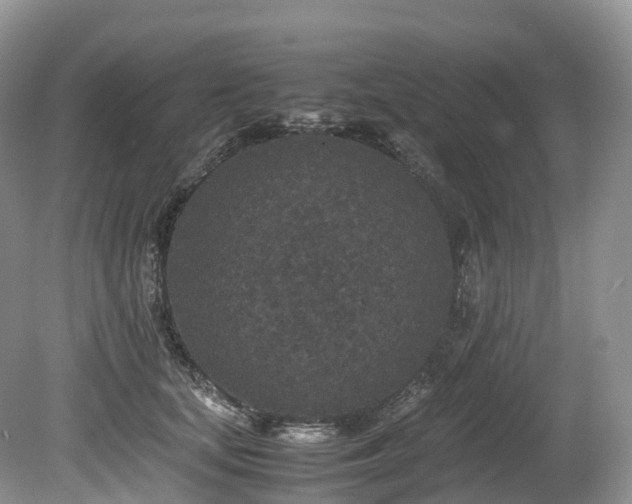 X0000080190659200612081428