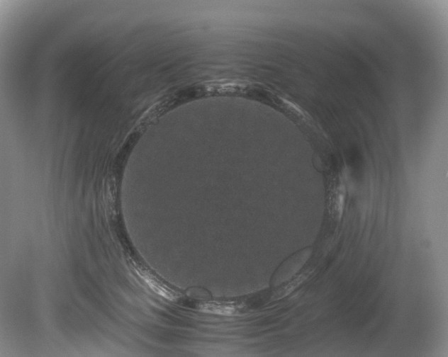 X0000080190661200612081429