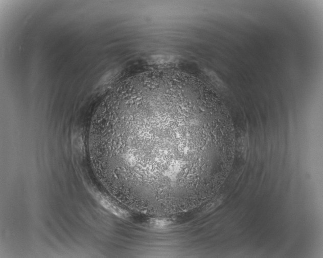 X0000080190662200612081429