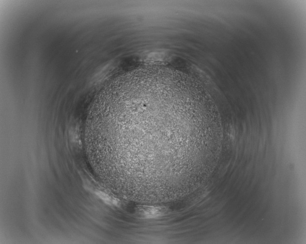 X0000080190663200612081429