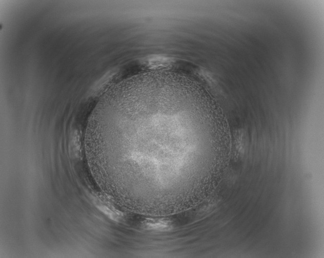 X0000080190667200612081429