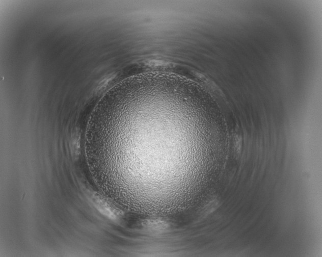 X0000080190668200612081429