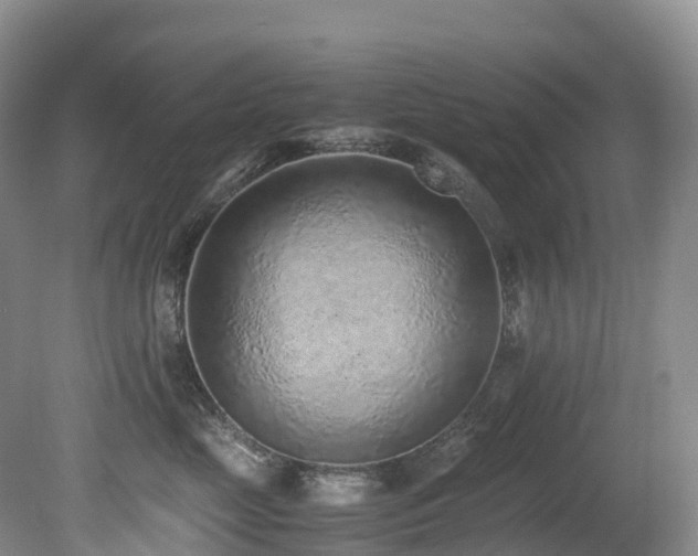 X0000080190669200612081429