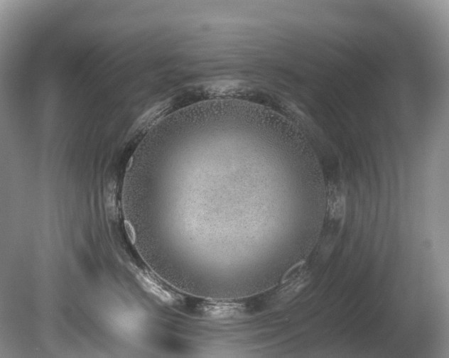 X0000080190670200612081429