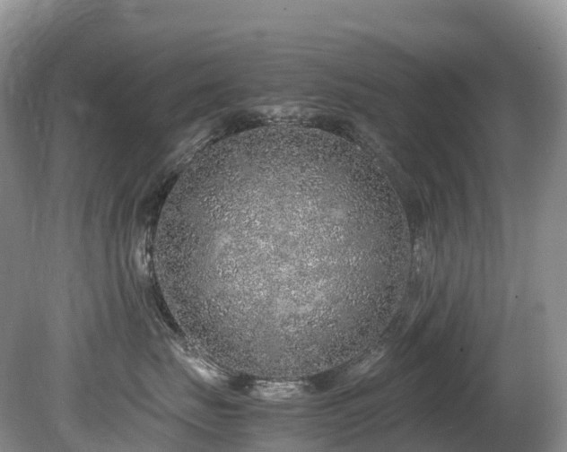 X0000080190671200612081429