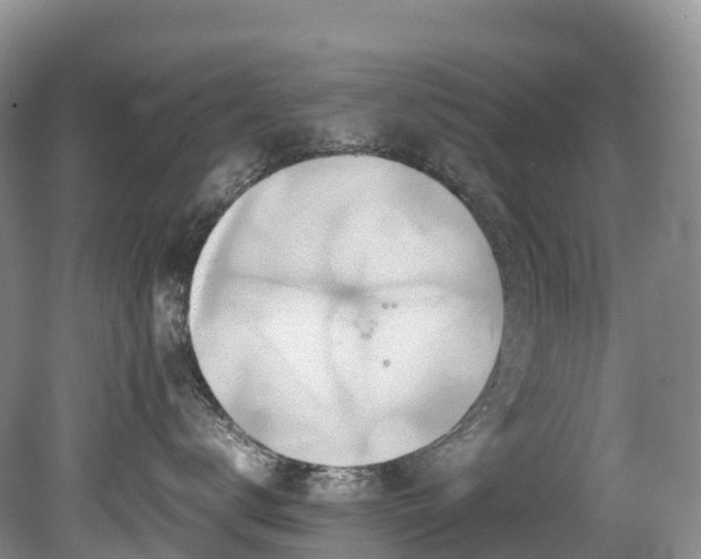 X0000080190672200612081429