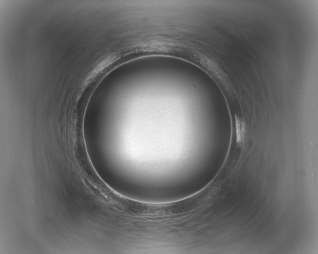 X0000080190675200612081428