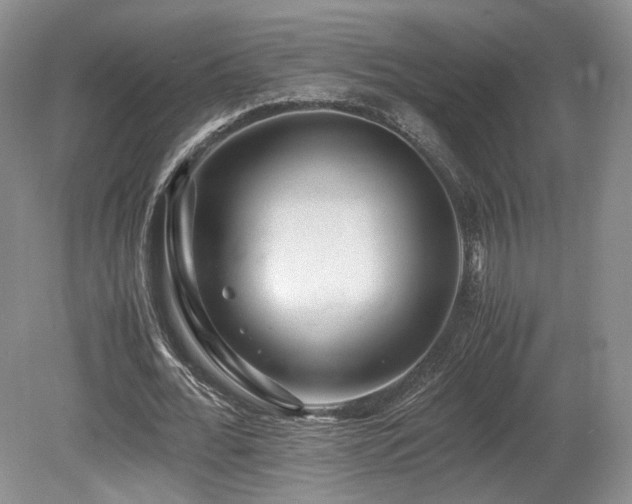X0000080190676200612081428