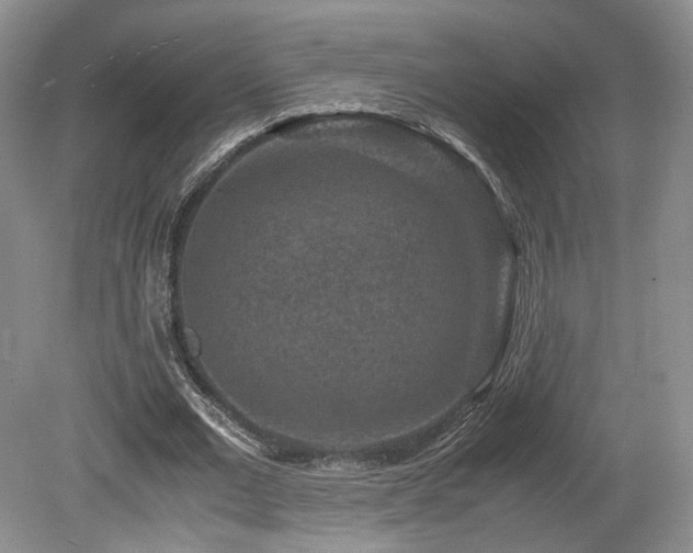 X0000080190677200612081428