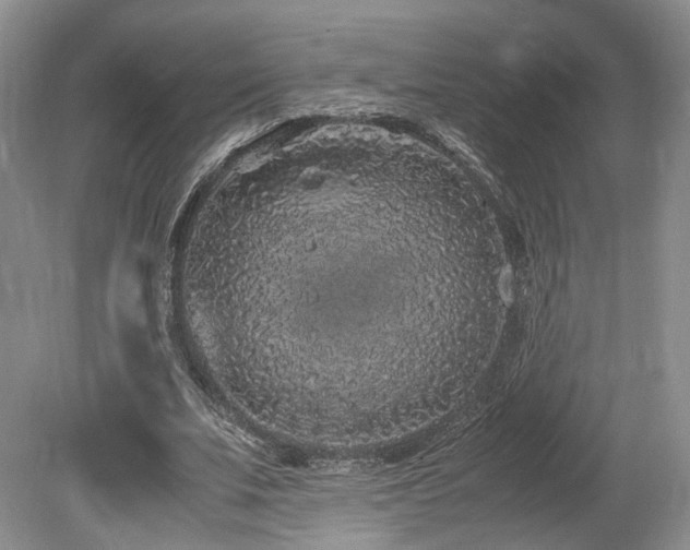 X0000080190679200612081428