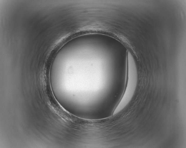 X0000080190680200612081428
