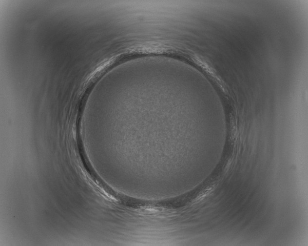 X0000080190681200612081428