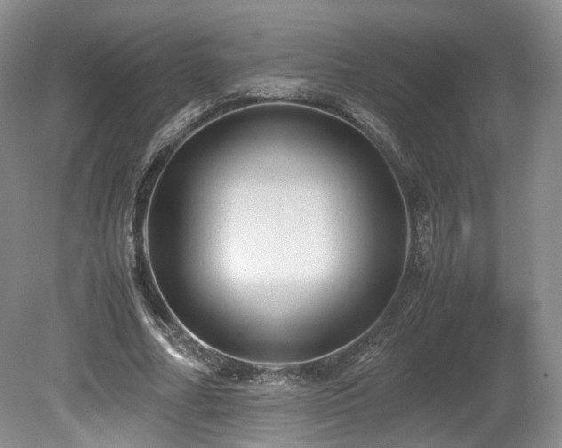 X0000080190682200612081428