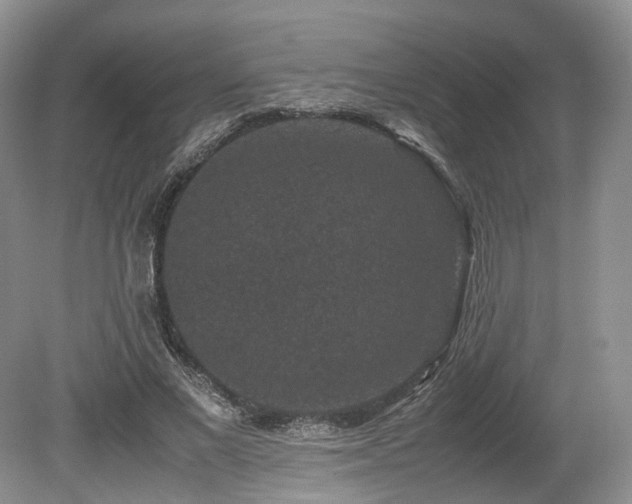 X0000080190685200612081428