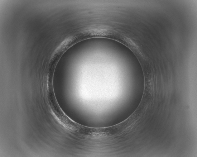 X0000080190686200612081428