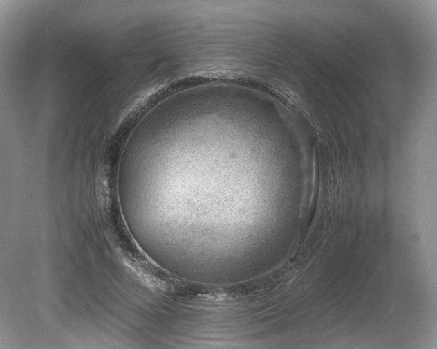 X0000080190688200612081428