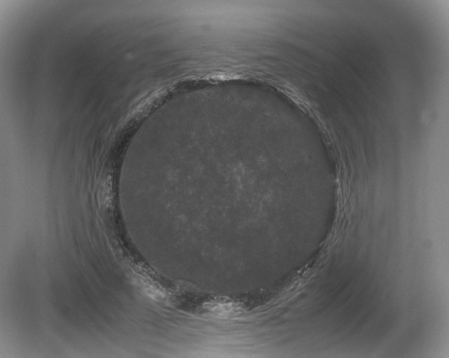 X0000080190689200612081428