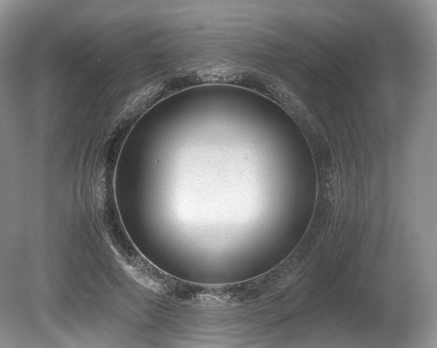 X0000080190690200612081428