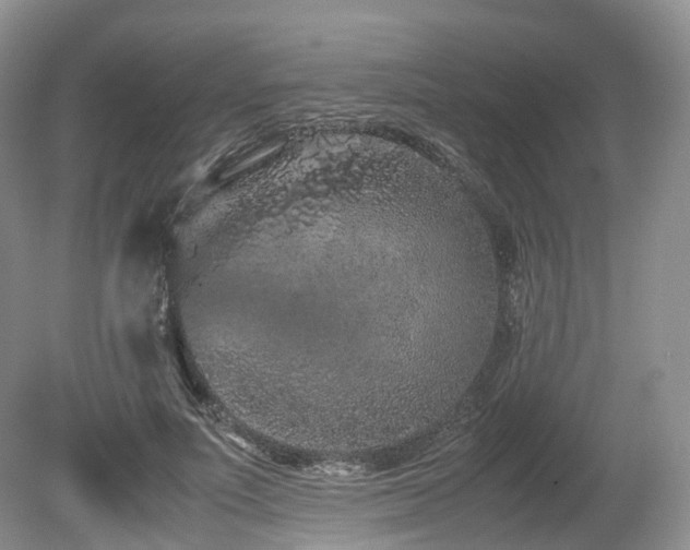 X0000080190691200612081428