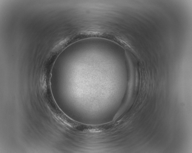 X0000080190692200612081428