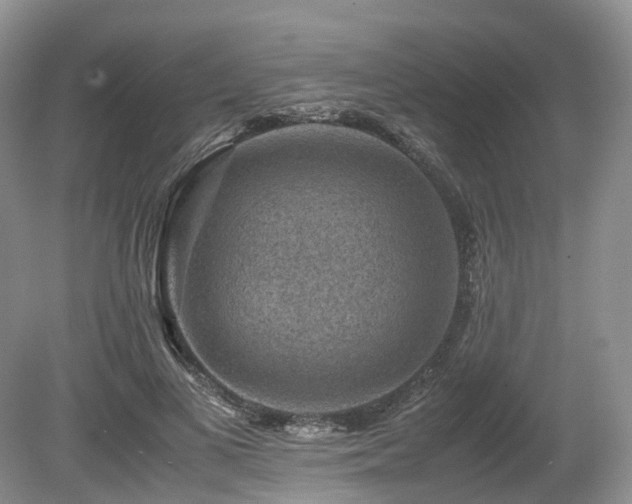 X0000080190693200612081428