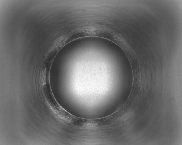 X0000080190694200612081428