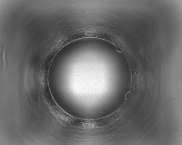 X0000080190698200612081427