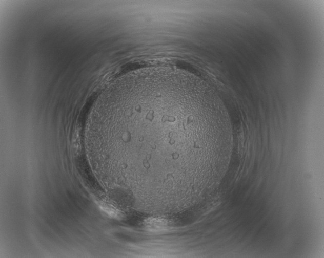 X0000080190699200612081427