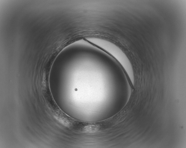 X0000080190700200612081427