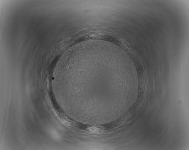 X0000080190703200612081427