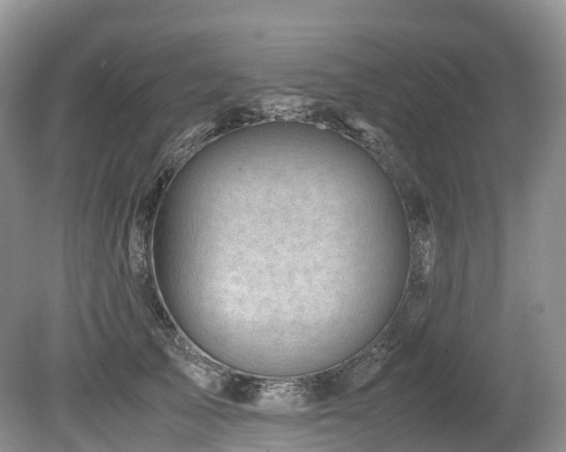 X0000080190705200612081427
