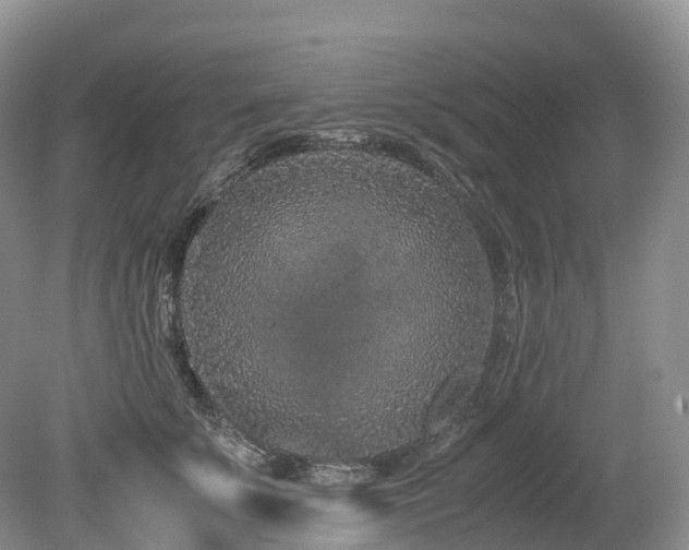 X0000080190707200612081427