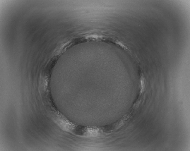 X0000080190709200612081427