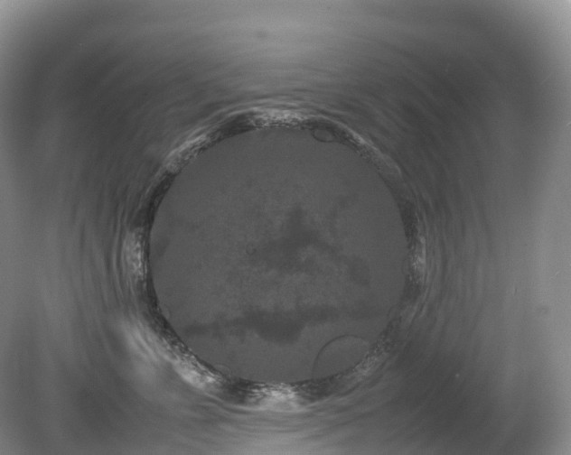 X0000080190715200612081427