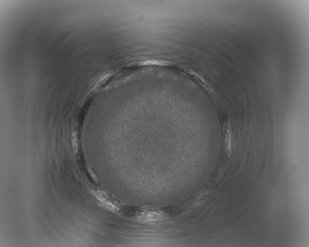 X0000080190716200612081427