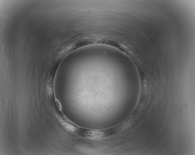 X0000080190719200612081427