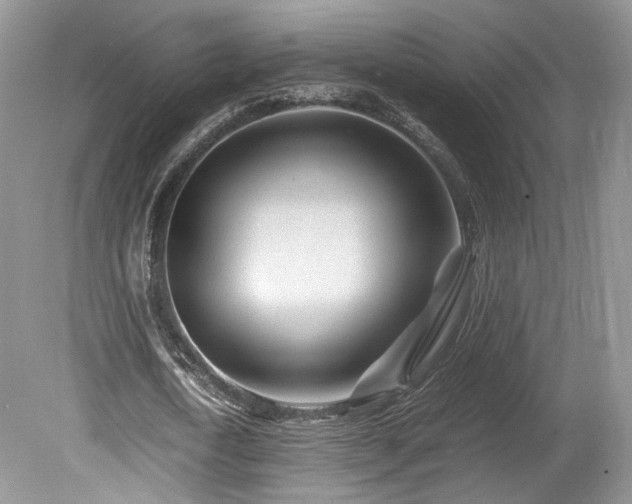 X0000080190722200612081426