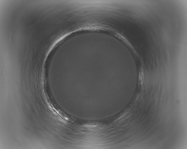 X0000080190724200612081426
