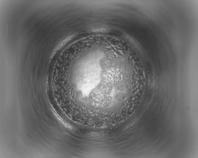 X0000080190725200612081426