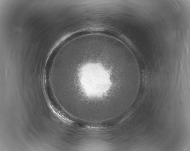 X0000080190726200612081426